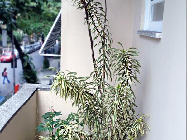 Luiz Leblon Guest House Rio de Janeiro Exterior photo